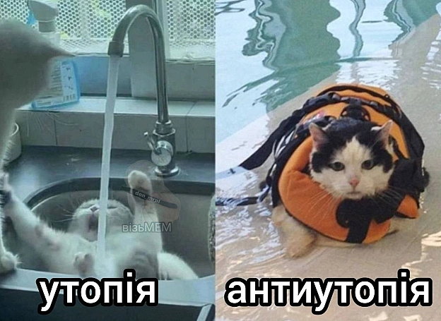on we.ua