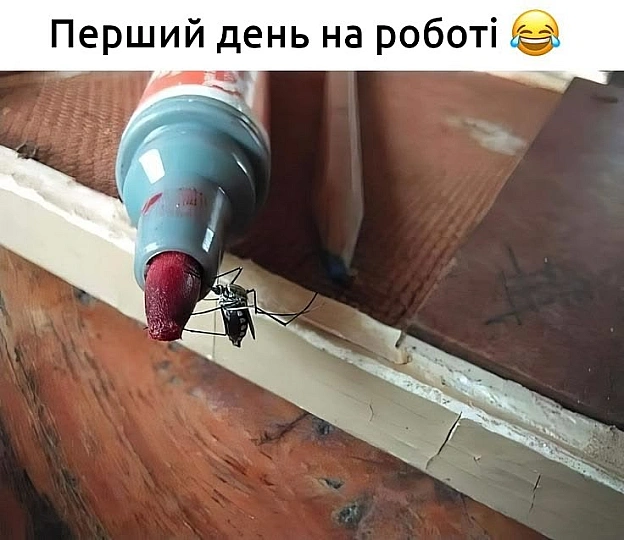 Ех, трейні-трейні… - on we.ua