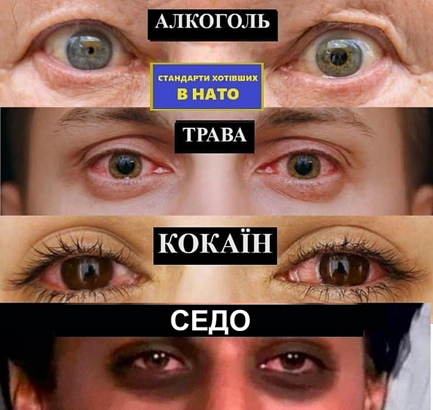 на we.ua