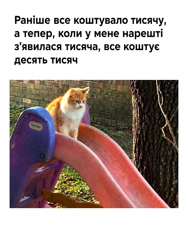 на we.ua