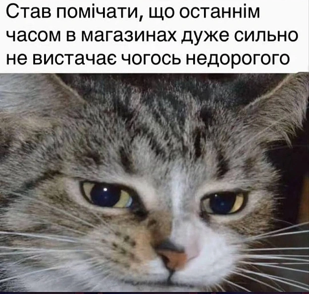 на we.ua