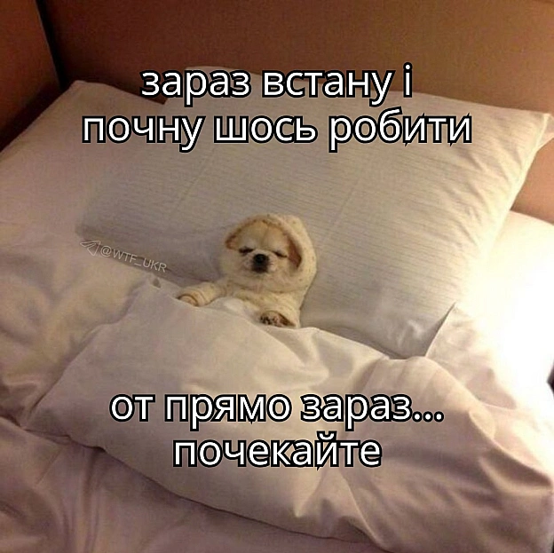 Нє, не почну💀TG | X | FB | Instahttps://instagram.com/wtf_ukr/ - на we.ua