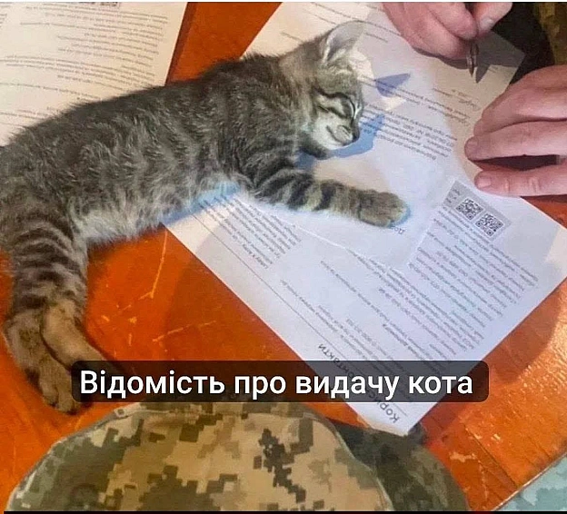 Хто ще не отримав? - на we.ua