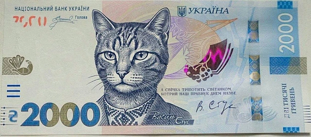 До Міжнародного дня кота Нацбанк представив кото-гримні(с) Діма Коваленко @memargam - на we.ua