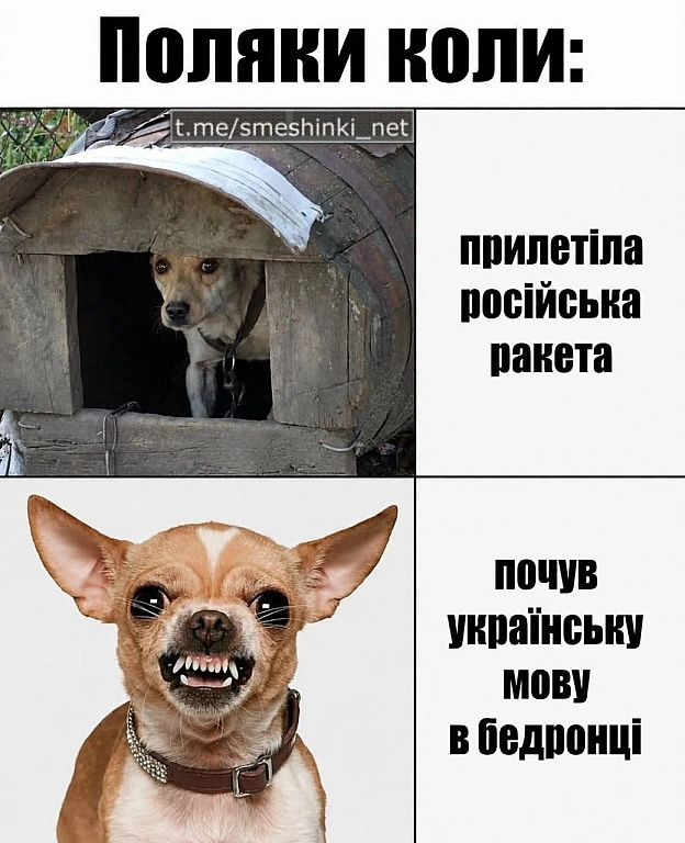 Переглянути нові  |  Надіслати своє - на we.ua