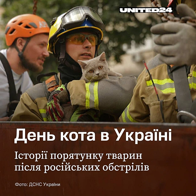 Сьогодні — Всесвітній день кота. Ділимося історіями кількох котиків, які пережили російську війну завдяки українцям, для яких не... - на we.ua