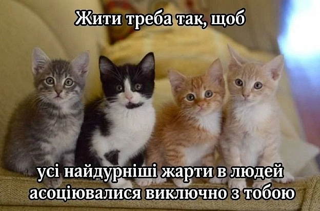 на we.ua