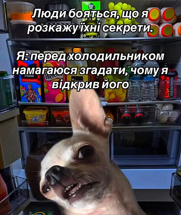 на we.ua