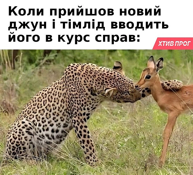 Онбординг з елементами аб’юзу 😅 - на we.ua