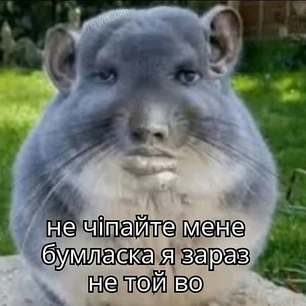 Стан зранку💀TG | X | FB | Instahttps://instagram.com/wtf_ukr/ - на we.ua