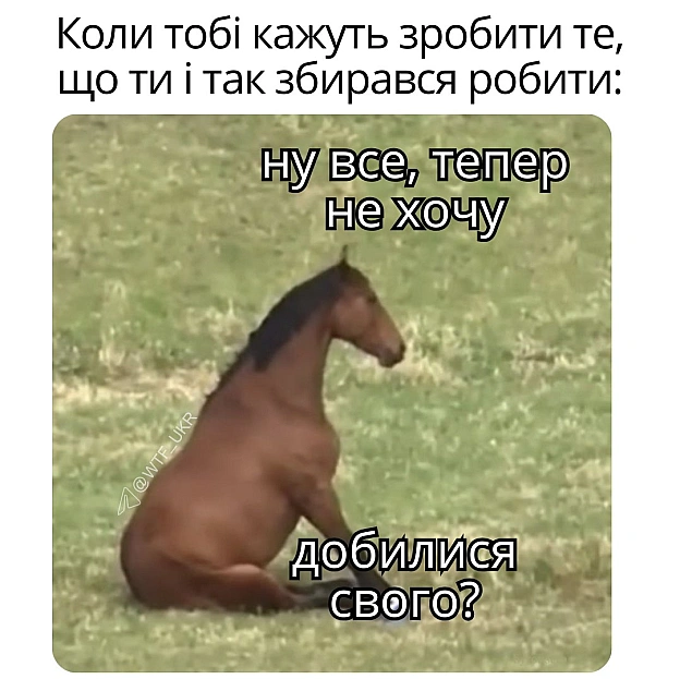 💀TG | X | FB | Instahttps://instagram.com/wtf_ukr/ - на we.ua