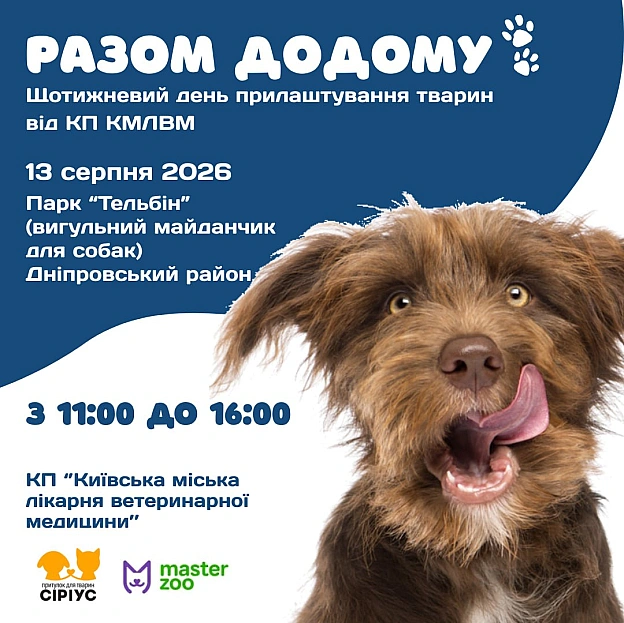 🐕Чотирилапі шукають родину: 13 серпня в парку \