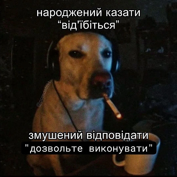 на we.ua