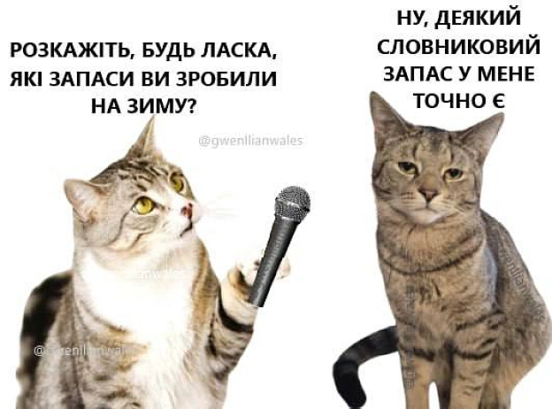 Багато цікавих слів(с) @gwenllianwales@memargam - на we.ua