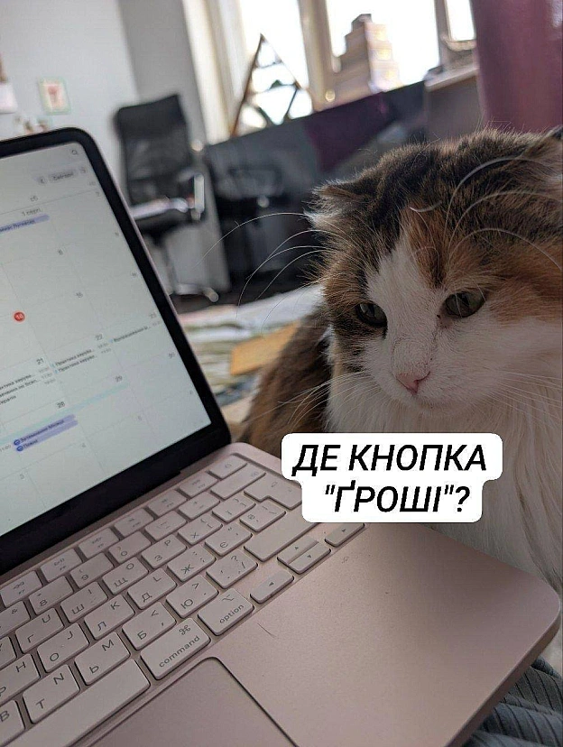 на we.ua