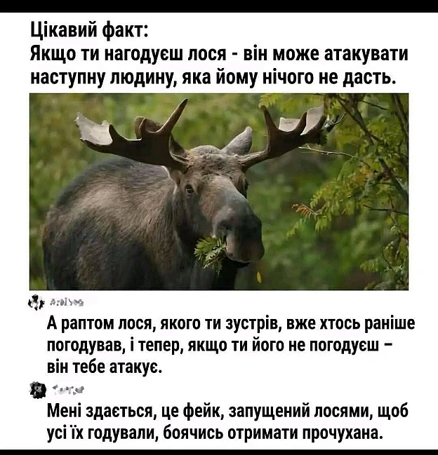 на we.ua
