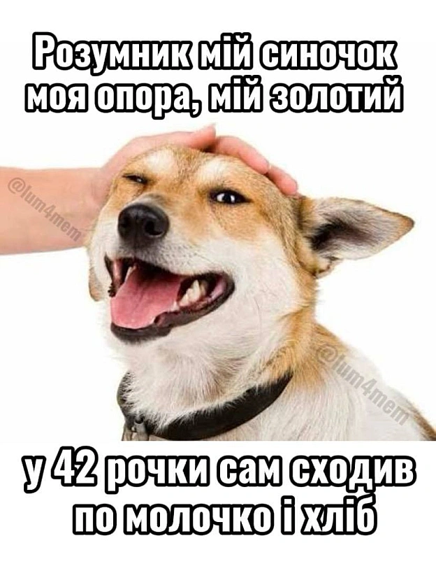на we.ua