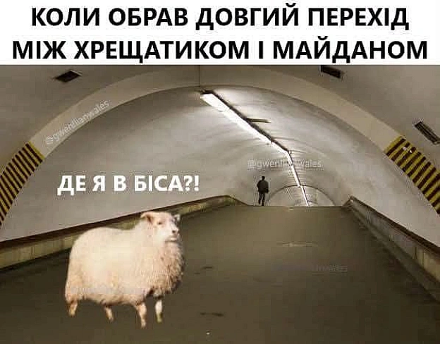 на we.ua