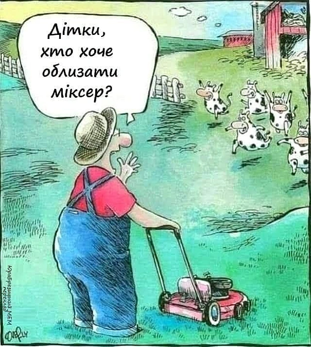Смачного, кошенята! - на we.ua