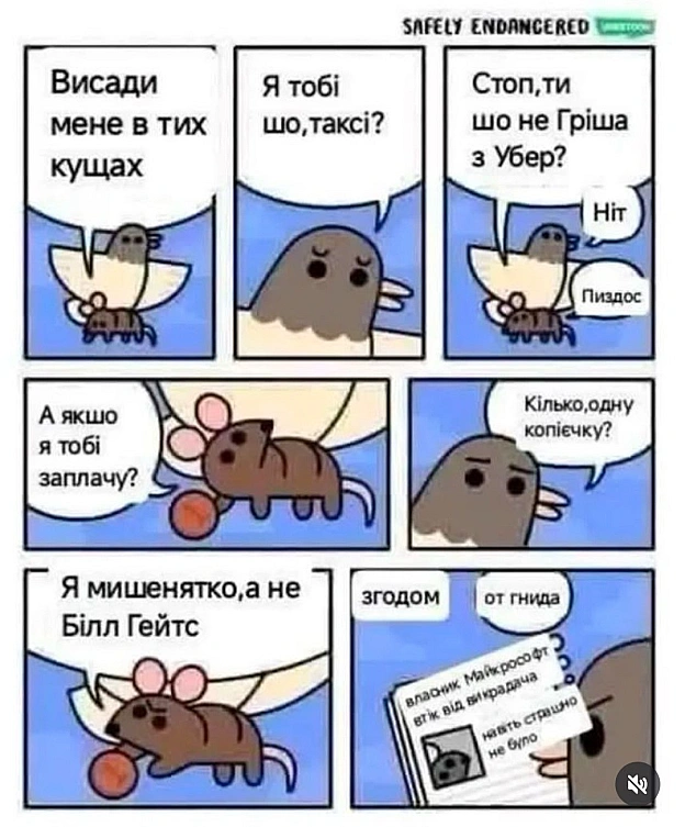 на we.ua