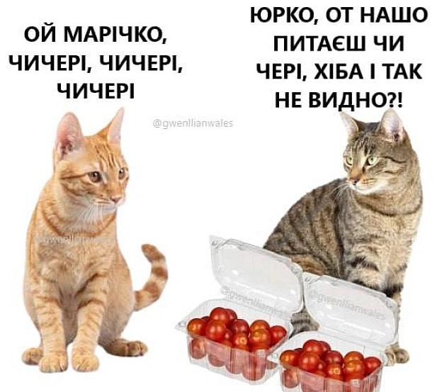 Співаємо разом (с) @gwenllianwales@memargam - на we.ua