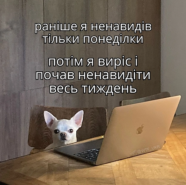 Раночку💀TG | X | FB | Instahttps://instagram.com/wtf_ukr/ - на we.ua