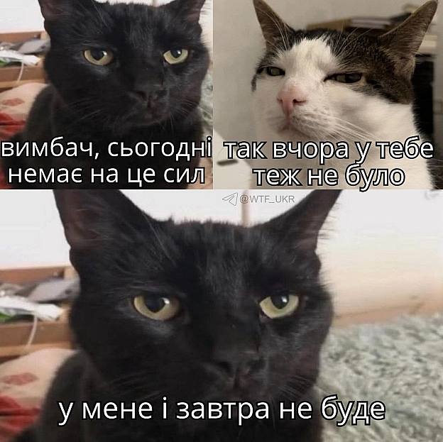 Драсьтє💀TG | X | FB | Instahttps://instagram.com/wtf_ukr/ - на we.ua