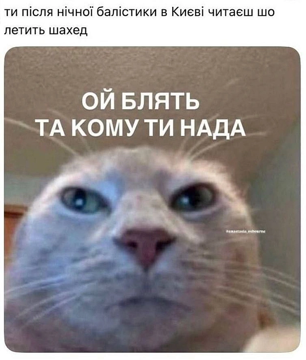 на we.ua