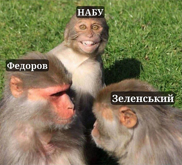 Ситуація наступна#хзчиймем@memargam - на we.ua
