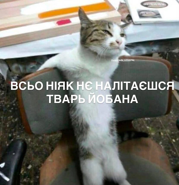 Такий ранок@memargam - на we.ua