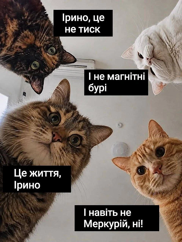Доброго ранку!#хзчиймем@memargam - на we.ua