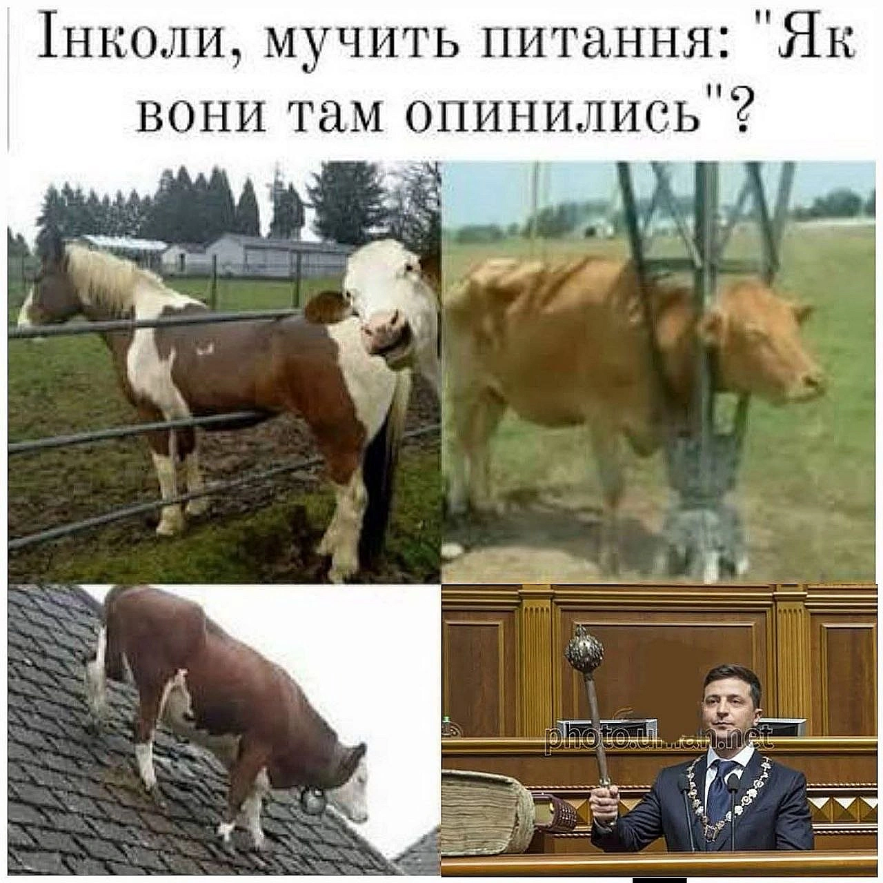 Дійсно цікаве питання Підписатися на канал - на we.ua