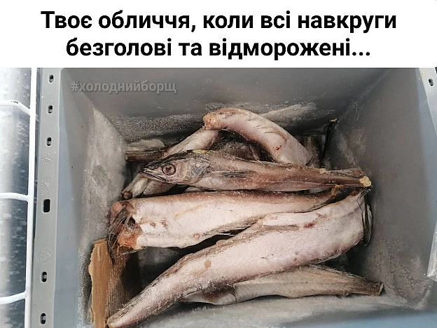 на we.ua