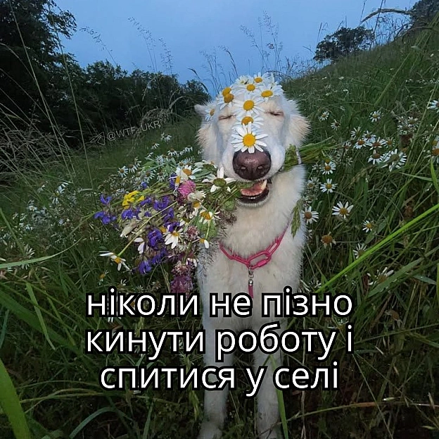 💀TG | X | FB | Instahttps://instagram.com/wtf_ukr/ - на we.ua
