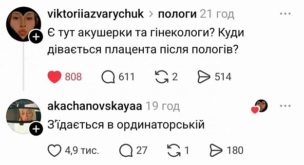 Смачного обіду, кошенята! - на we.ua