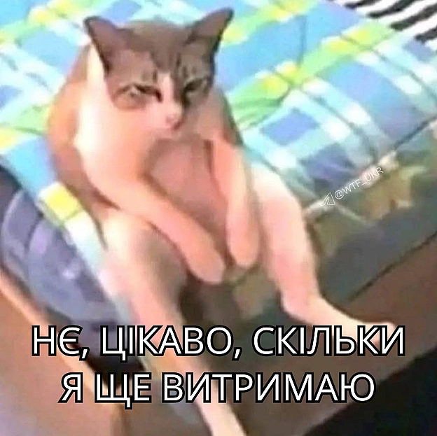 Раночку💀TG | X | FB | Instahttps://instagram.com/wtf_ukr/ - WTF! на we.ua