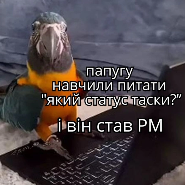 Баба і Кіт on we.ua