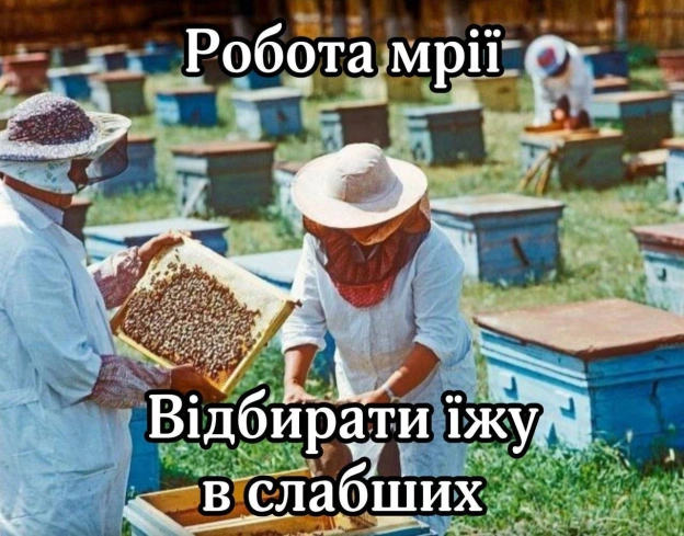 на we.ua