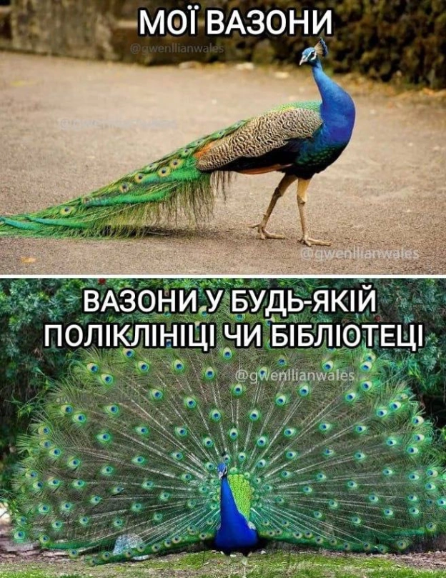 Таке життя (с) @gwenllianwales@memargam - на we.ua