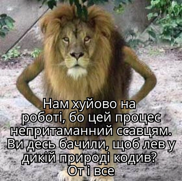 💀TG | X | FB | Instahttps://instagram.com/wtf_ukr/ - на we.ua