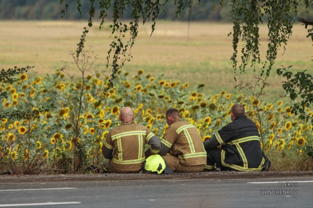 Сонячники #роботарепортер #сонячник #україна #ukraine #sunflower - на we.ua