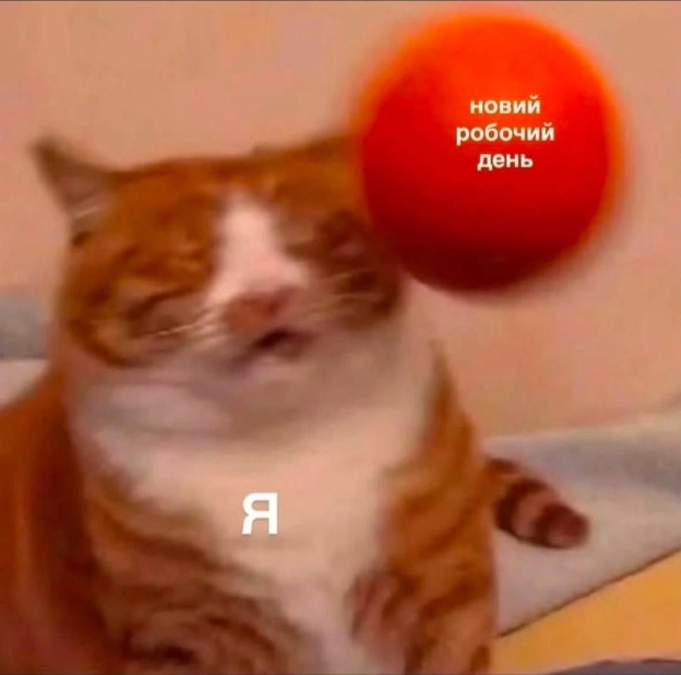 на we.ua