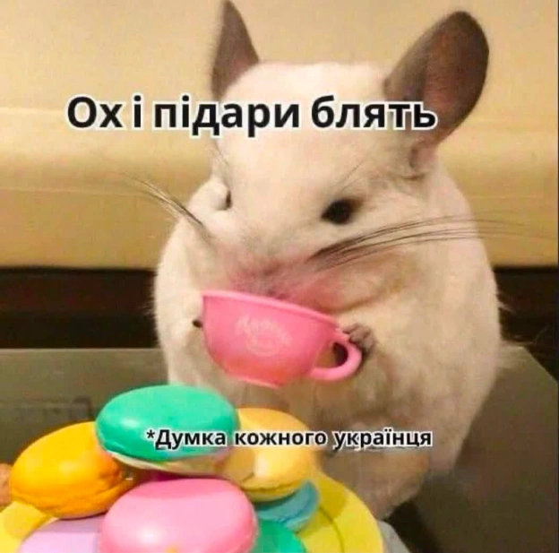 на we.ua