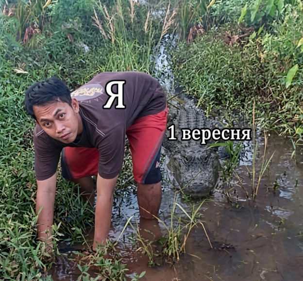 на we.ua