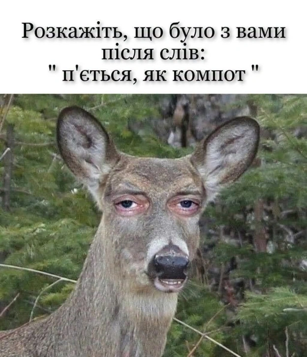 на we.ua
