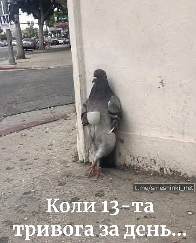 Переглянути нові  |  Надіслати своє - на we.ua