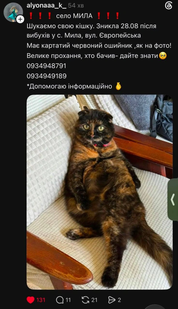 💔 У соцмережах повідомляють про велику кількість зниклих тварин внаслідок детонацій боєприпасів у селі Мила на Київщині✅ Ми у ... - на we.ua