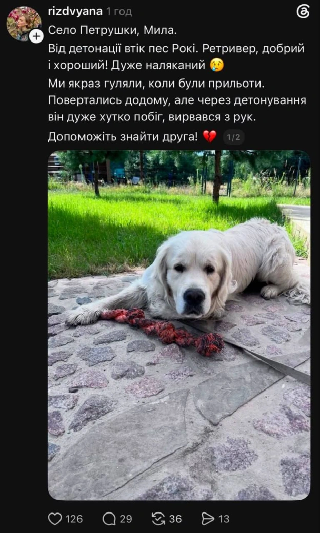 💔 У соцмережах повідомляють про велику кількість зниклих тварин внаслідок детонацій боєприпасів у селі Мила на Київщині✅ Ми у ... - на we.ua