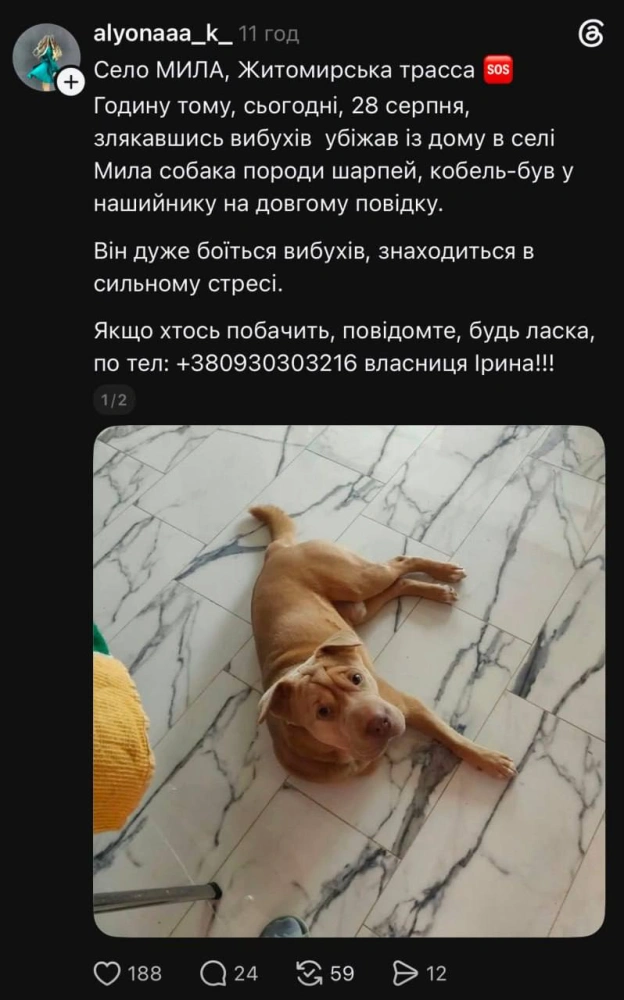 💔 У соцмережах повідомляють про велику кількість зниклих тварин внаслідок детонацій боєприпасів у селі Мила на Київщині✅ Ми у ... - на we.ua