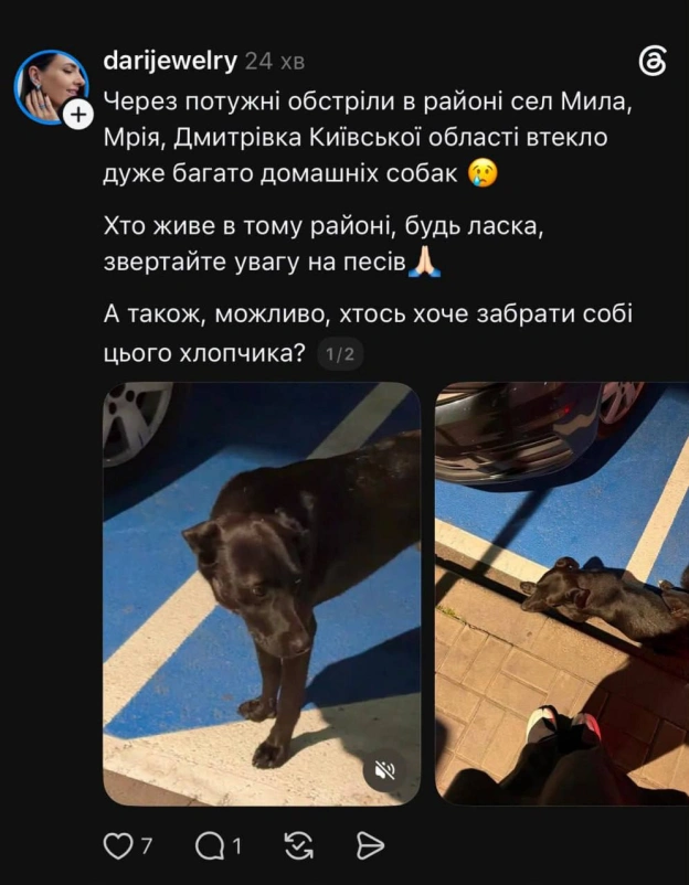 💔 У соцмережах повідомляють про велику кількість зниклих тварин внаслідок детонацій боєприпасів у селі Мила на Київщині✅ Ми у ... - на we.ua